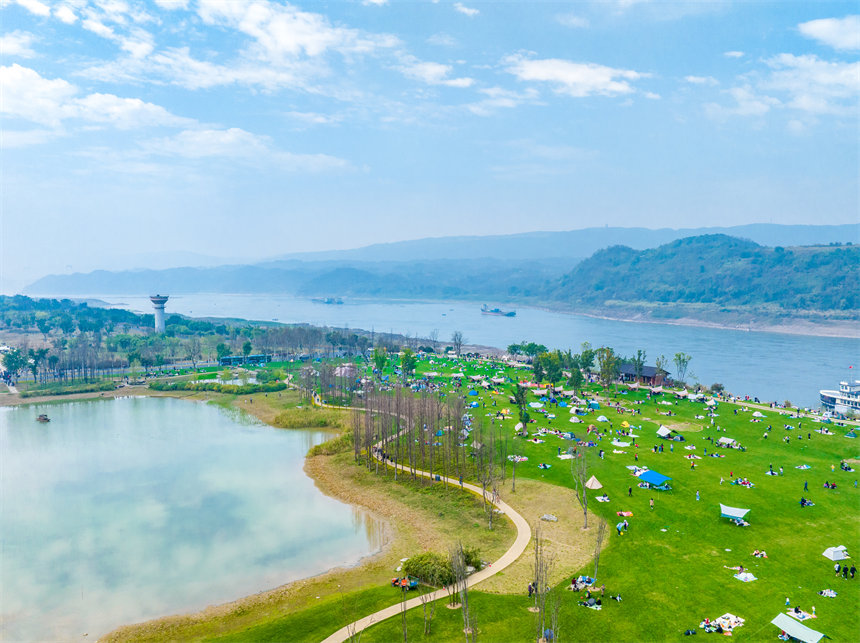 廣陽島草色正青，吸引不少市民露營(yíng)。郭旭攝