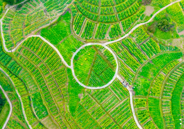 俯瞰云燕花語景區(qū)。一品街道供圖