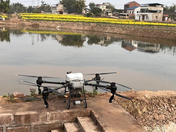 無人機(jī)播撒。重慶市農(nóng)業(yè)農(nóng)村委供圖