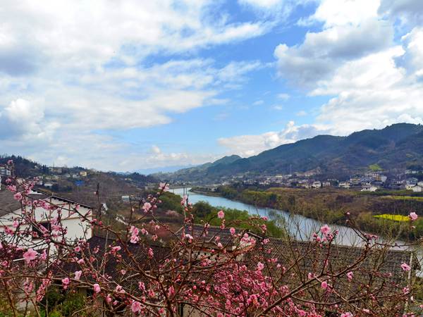 春日風(fēng)光正好。黔江區(qū)委宣傳部供圖