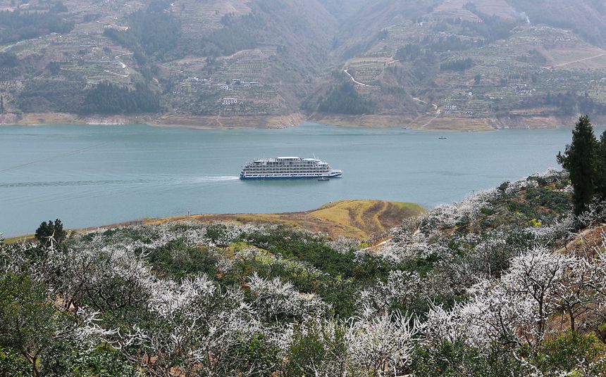 長江豪華游輪行駛在重慶市巫山縣曲尺鄉(xiāng)境內(nèi)。盧先慶攝