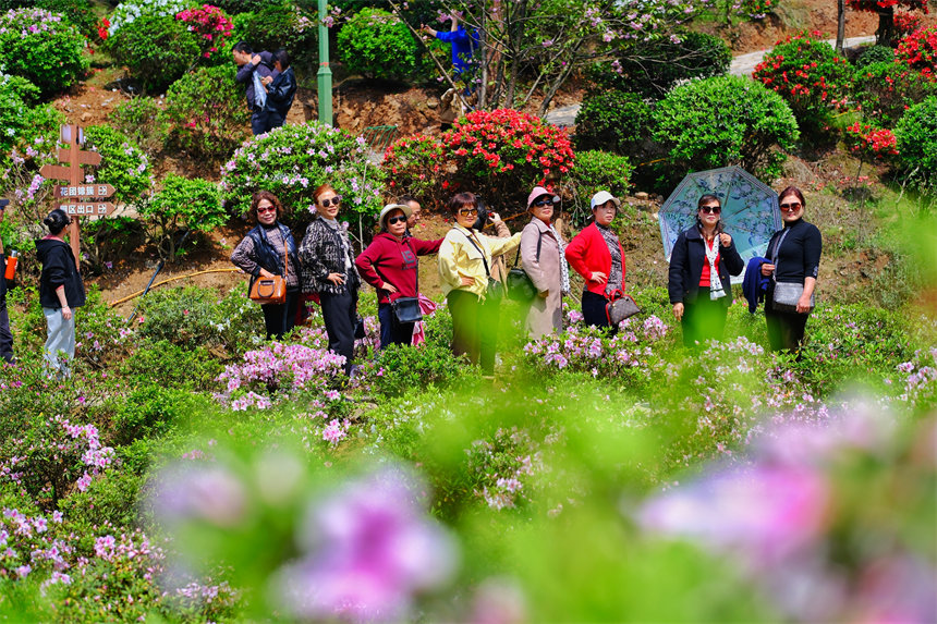 市民賞花踏春。郭旭攝