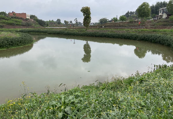 現(xiàn)今的大陸溪河水清澈。實(shí)習(xí)生越倚航攝