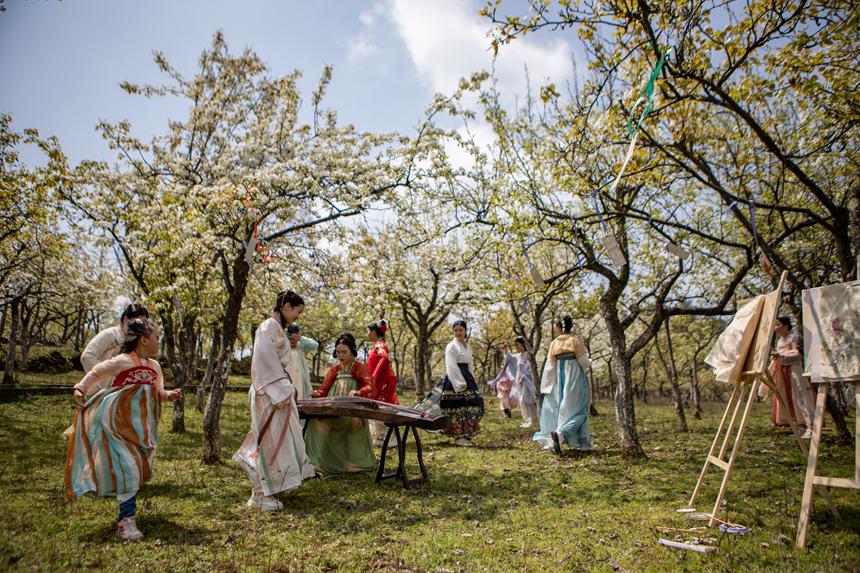游客們身著古裝暢游梨園。胡程攝