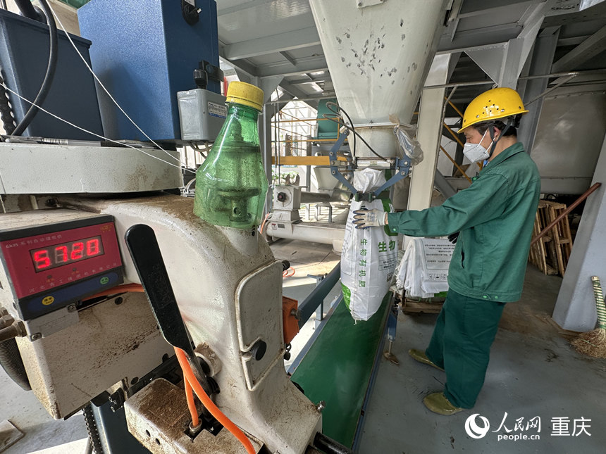 餐廚垃圾加工成肥料正在裝袋。人民網(wǎng) 劉政寧攝