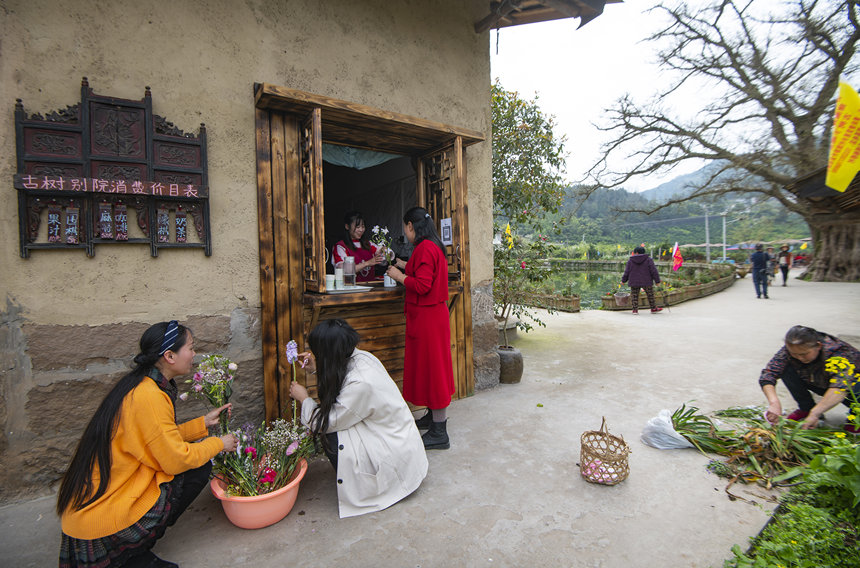 古樹咖啡。冉孟軍攝