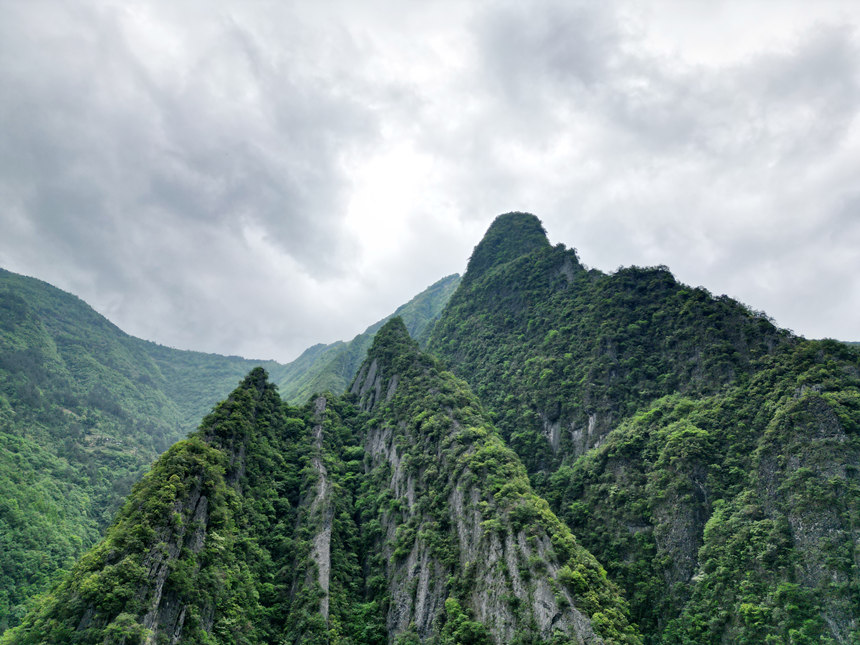 重慶五里坡國家級自然保護區(qū)。魯作炳攝
