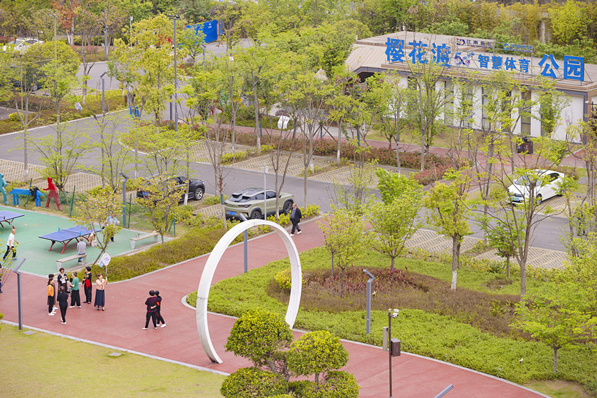 櫻花渡公園遍布綠意，成為濱江休閑打卡地。曾英豪攝