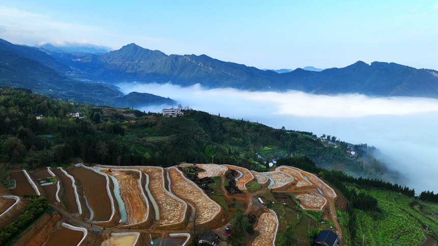 新修復(fù)墾的梯田與青山綠野相映成趣。曹永龍攝