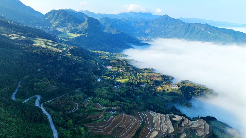 新修復(fù)墾的梯田與青山綠野相映成趣。曹永龍攝
