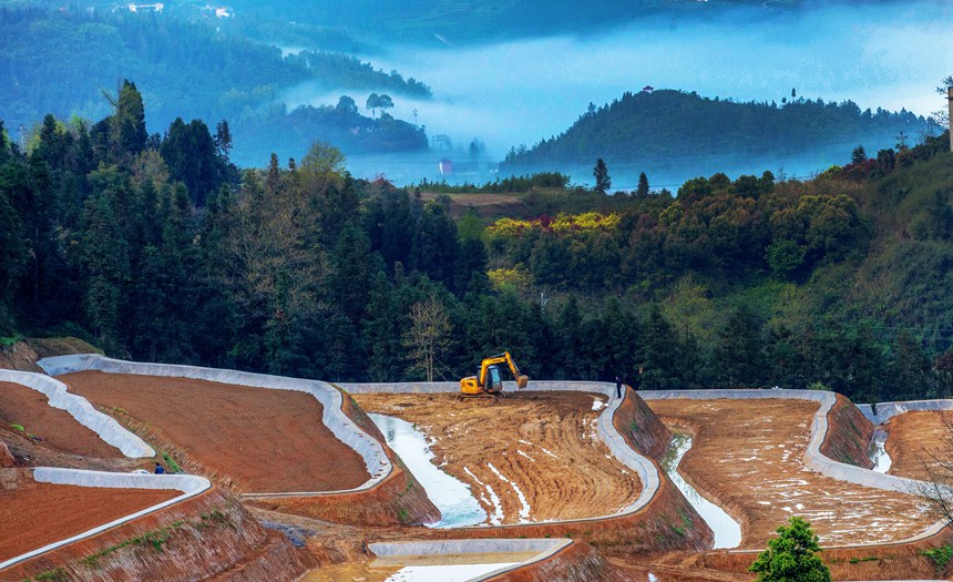 新修復(fù)墾的梯田與青山綠野相映成趣。曹永龍攝