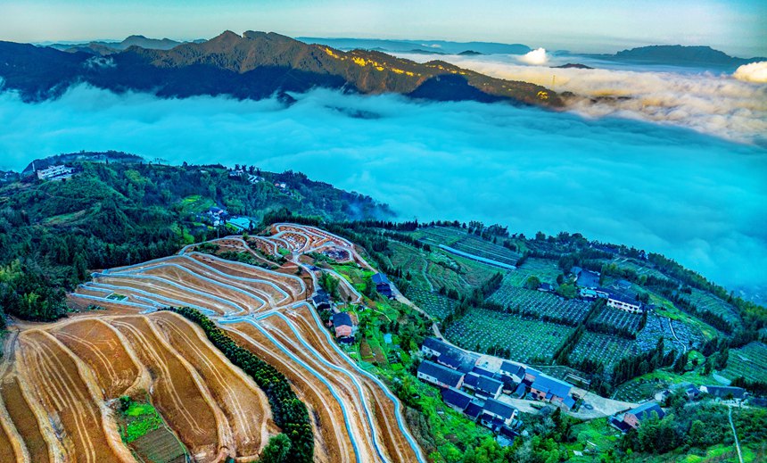 新修復(fù)墾的梯田與青山綠野相映成趣。曹永龍攝