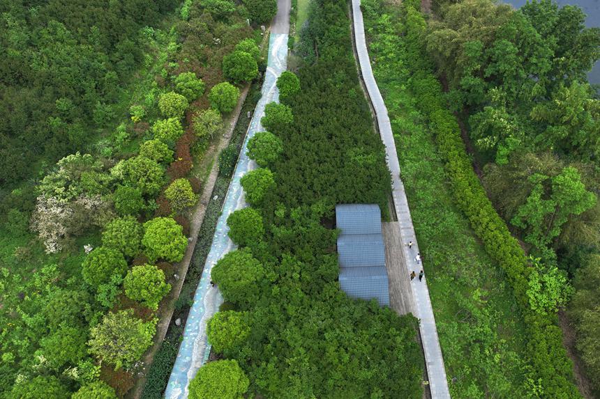 阿蓬江國(guó)家濕地公園。楊敏攝