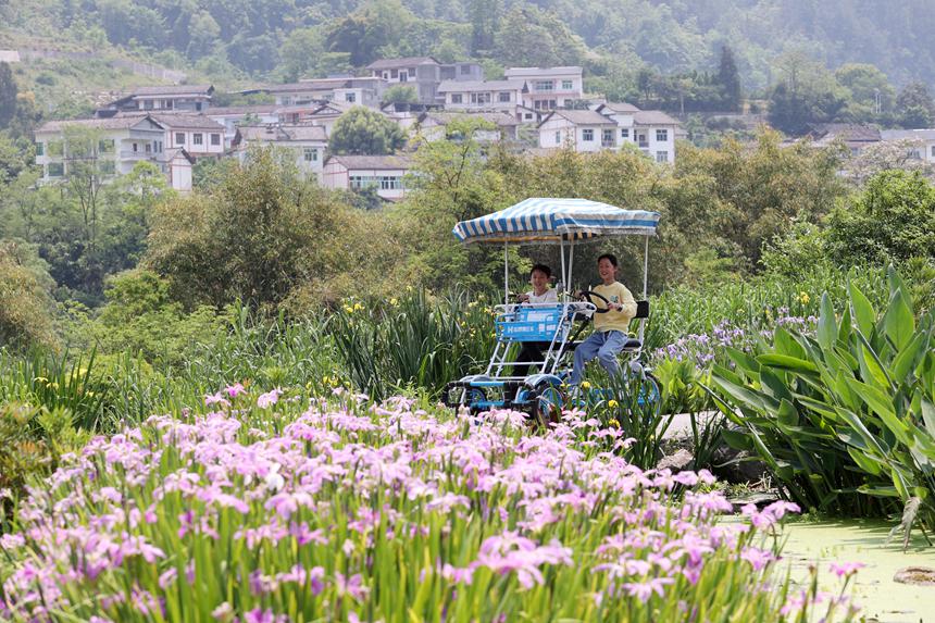 游客在馮家街道寨子社區(qū)游玩。楊敏攝