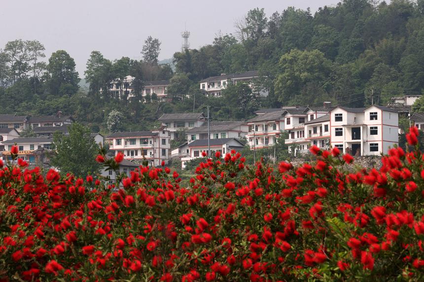 馮家街道寨子社區(qū)民居。楊敏攝