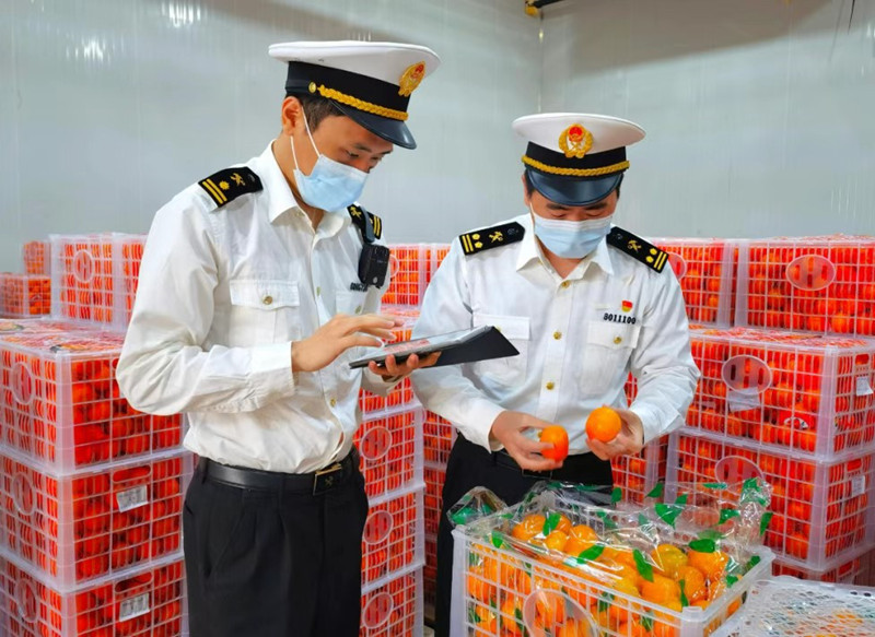 重慶海關(guān)與南寧海關(guān)共同落實(shí)鮮活易腐貨物“6小時(shí)通關(guān)”要求，保障生鮮商品快速驗(yàn)放。重慶海關(guān)供圖