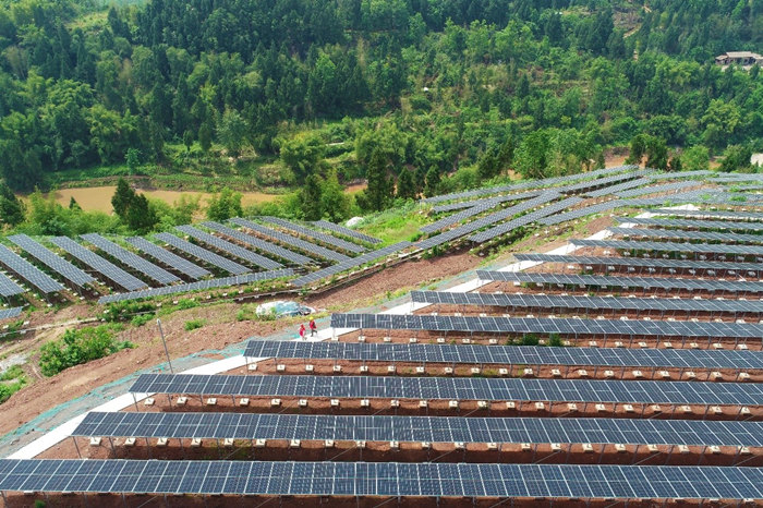 國網(wǎng)重慶銅梁供電公司員工在少云光伏發(fā)電場走訪。顏玲莉攝