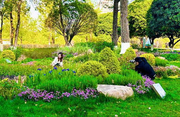 海綿城市雨水花園示范基地。2渝北區(qū)住房城鄉(xiāng)建委供圖