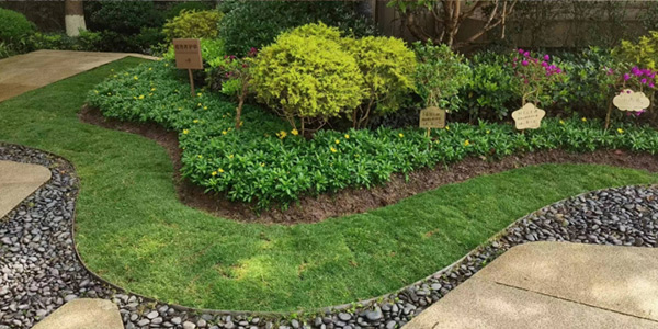 “綠茵行動(dòng)”中草坪煥新。重慶萬科物業(yè)供圖