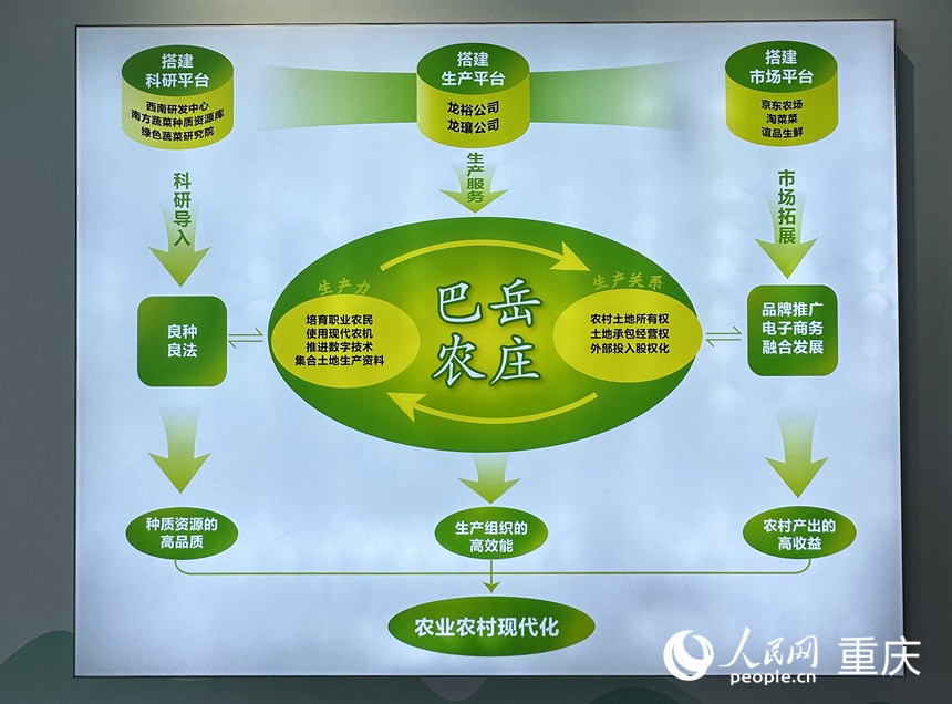 “巴岳農(nóng)莊”運作示意圖。人民網(wǎng)記者 劉政寧攝