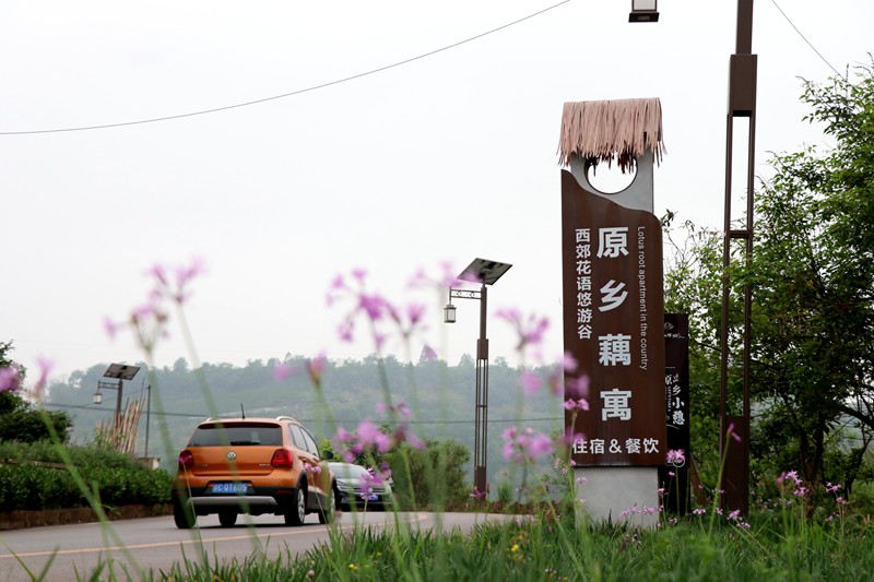 小院打造的民宿吸引游客前往玩耍。胥世鵬