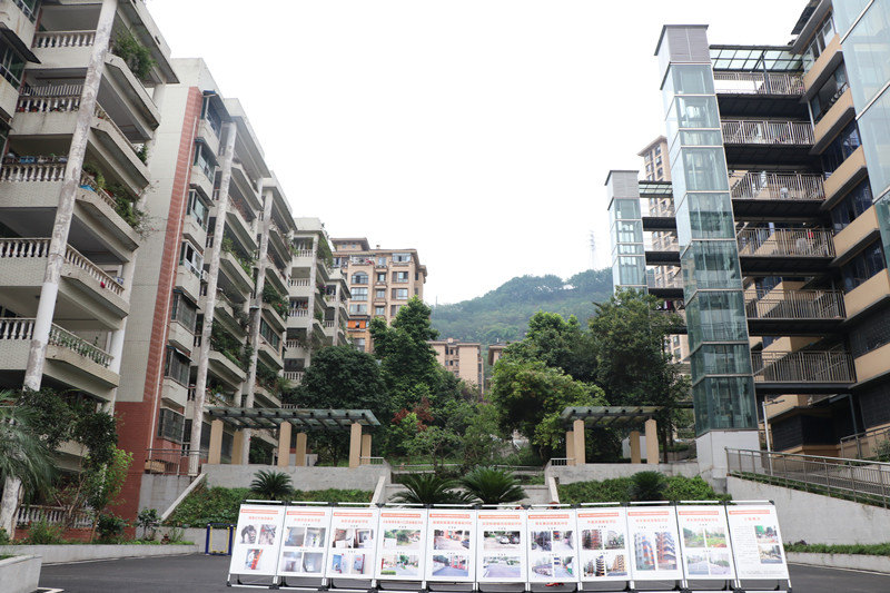 改造后的果研所家屬院小區(qū)。胥世鵬攝