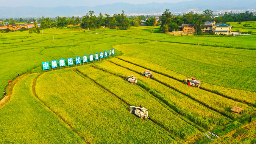 梁平素有“巴蜀糧倉”的美譽(yù)。 劉輝攝