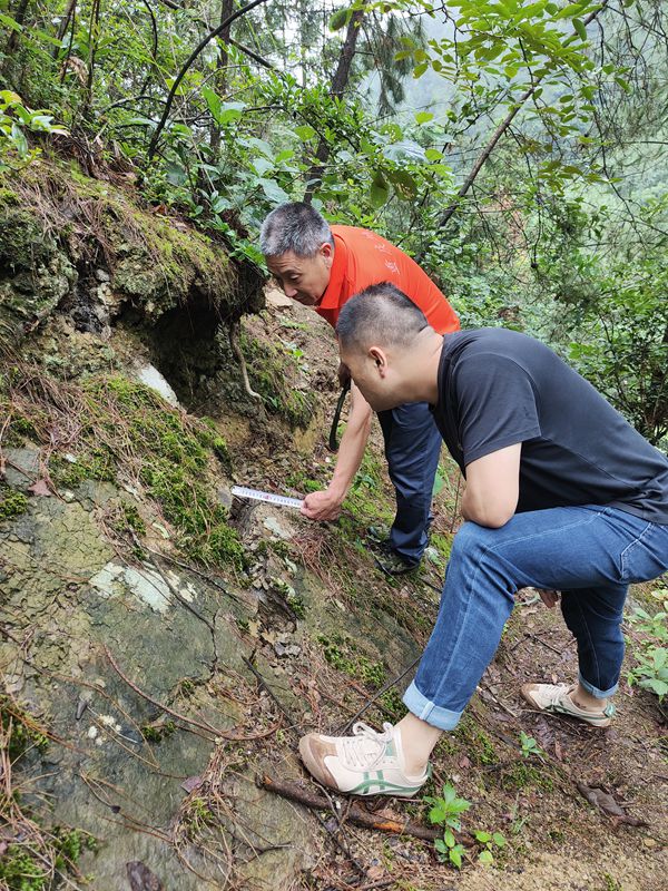 《查看滑坡后緣變化》。7月8日，黔江區(qū)啟動防汛II級應(yīng)急響應(yīng),黔江區(qū)金溪規(guī)劃和自然資源所會同重慶107地質(zhì)隊(duì)駐守地質(zhì)工程師在水田鄉(xiāng)水田社區(qū)8組呼眼埡查看滑坡體后緣變化情況。李偉攝