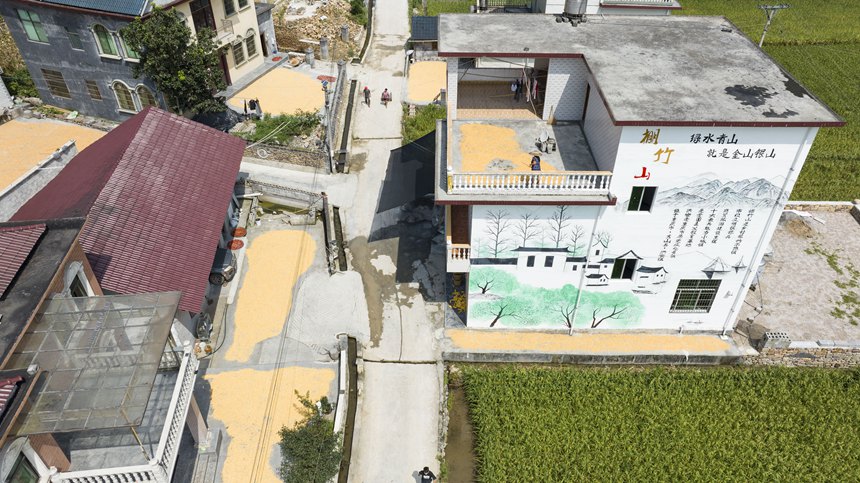 秀山土家族苗族自治縣洪安鎮(zhèn)棚竹山一景。胡程攝