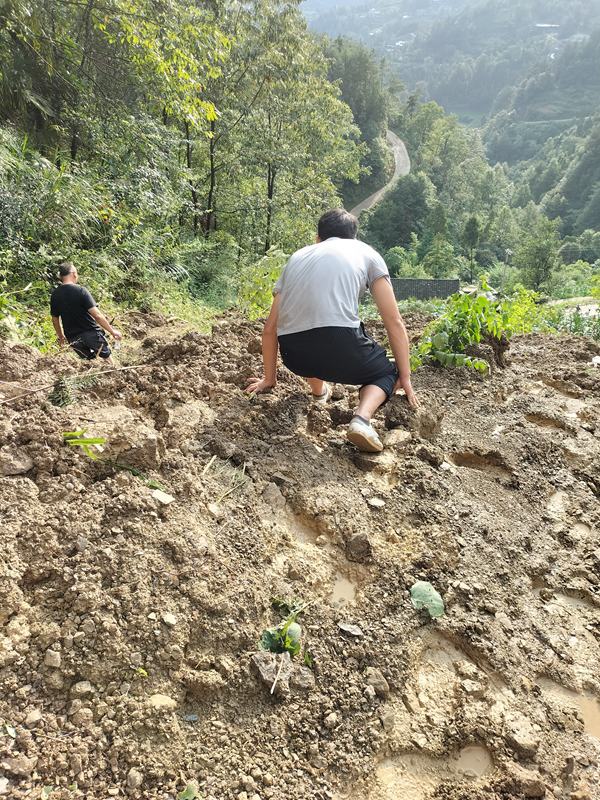 《上山容易下山難》。7月25日，黔江區(qū)突降暴雨,金溪鎮(zhèn)望嶺村木根坡發(fā)生滑坡險情。接報后金溪規(guī)劃和自然資源所會同重慶107地質(zhì)隊(duì)駐守地質(zhì)工程師迅速趕赴現(xiàn)場查看險情。李偉攝