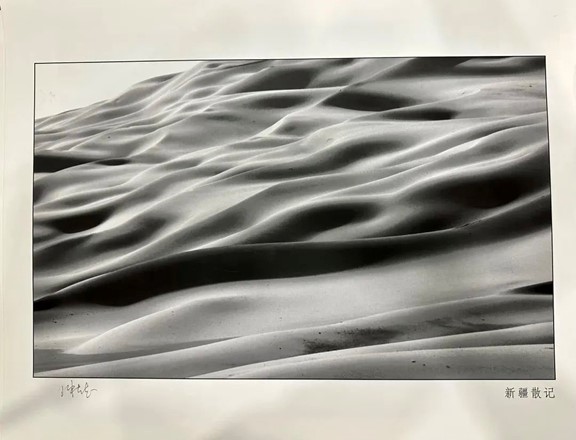 部分作品預(yù)覽。重慶聯(lián)合麗格整形美容醫(yī)院供圖