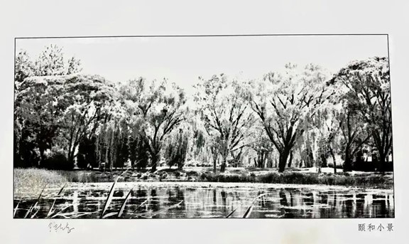 部分作品預(yù)覽。重慶聯(lián)合麗格整形美容醫(yī)院供圖