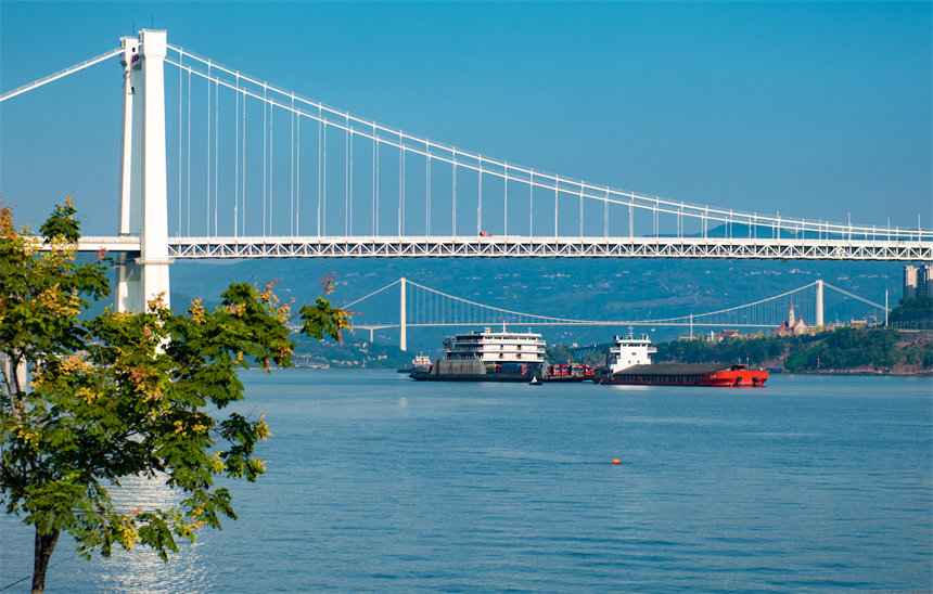 隨著長江萬州段水位上漲，庫岸落差縮小，港口的貨物運(yùn)輸更加便捷。侯本艷攝