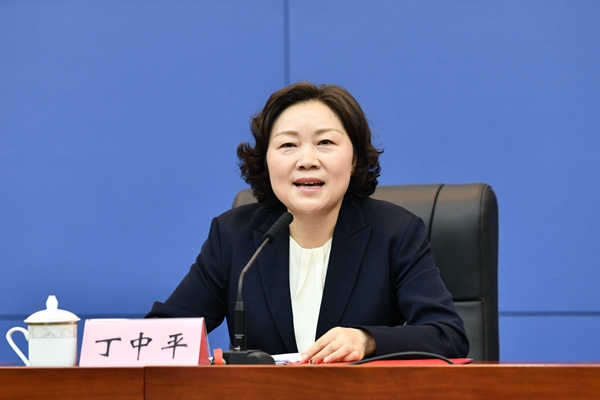 發(fā)布會上，重慶市民政局局長丁中平介紹相關(guān)情況。鄒樂攝