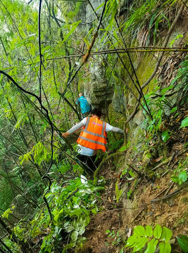 《巖壁間爬出“道路”》。9月2日，重慶107市政公司駐守工程師張偉會同群測群防員，及時對持續(xù)發(fā)出告警信息的南川區(qū)德隆鎮(zhèn)仙米坪危巖地災(zāi)點設(shè)備開展現(xiàn)場核實。徐云華攝