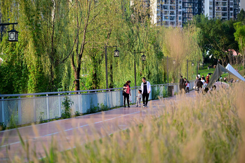 南岸區(qū)大魚海棠公園，市民樂享周末好時(shí)光。郭旭攝