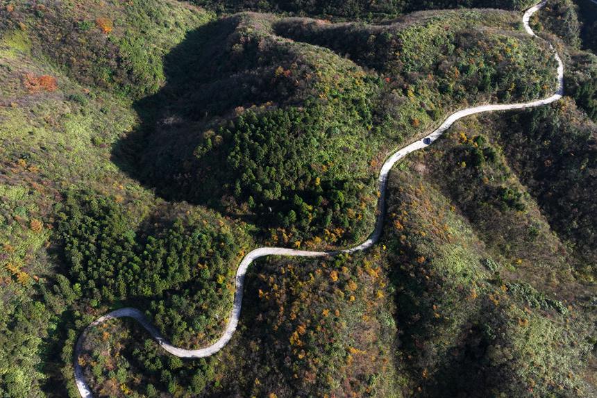 重慶市黔江區(qū)國家森林公園彩葉林。楊敏攝