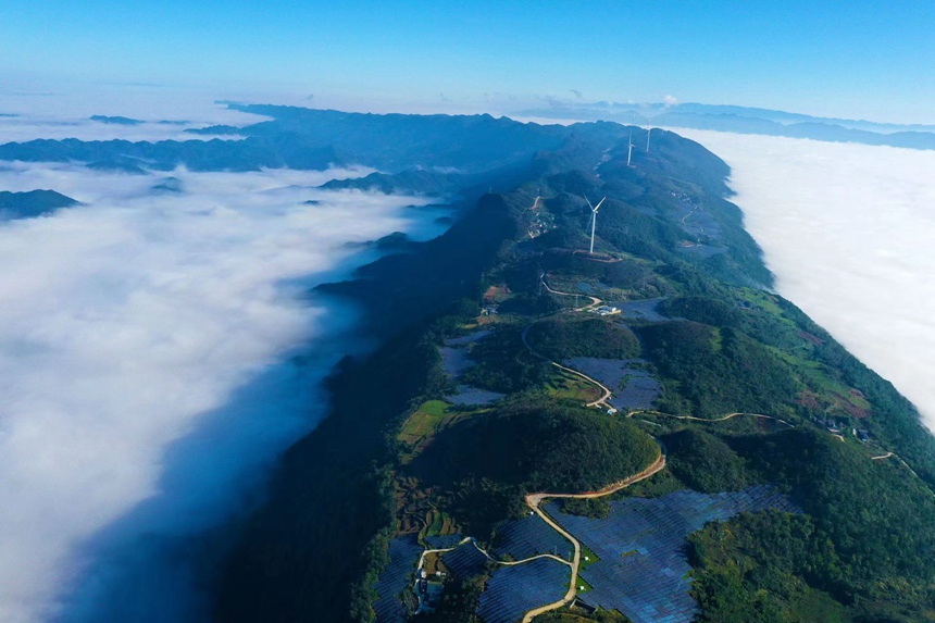 重慶市黔江區(qū)麒麟蓋光伏發(fā)電站群貌。楊敏攝
