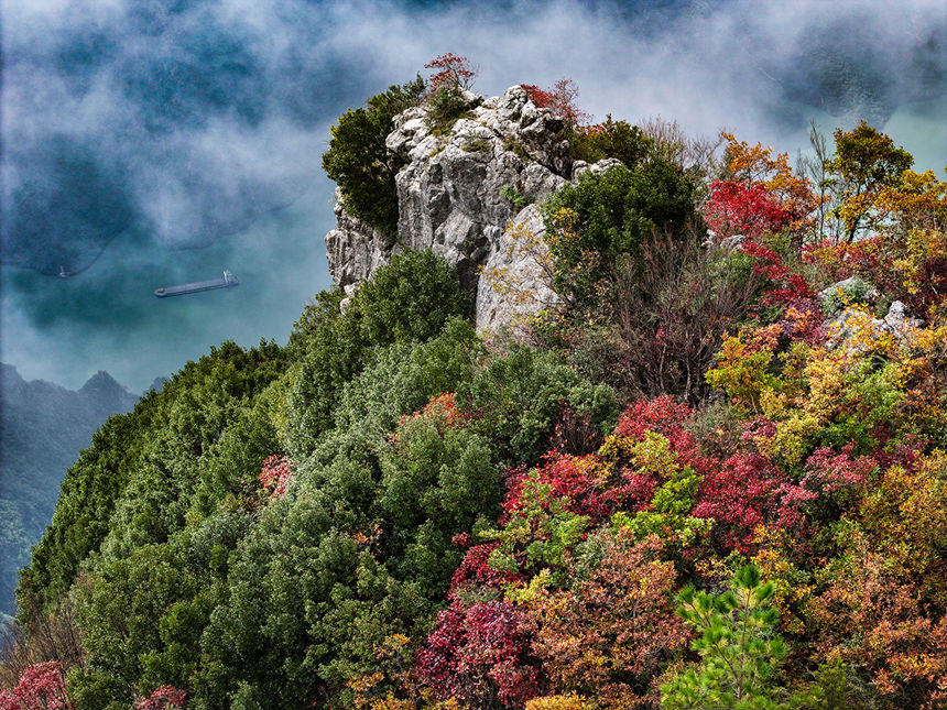 深秋時節(jié)，紅葉扮美長江巫峽。王正坤攝