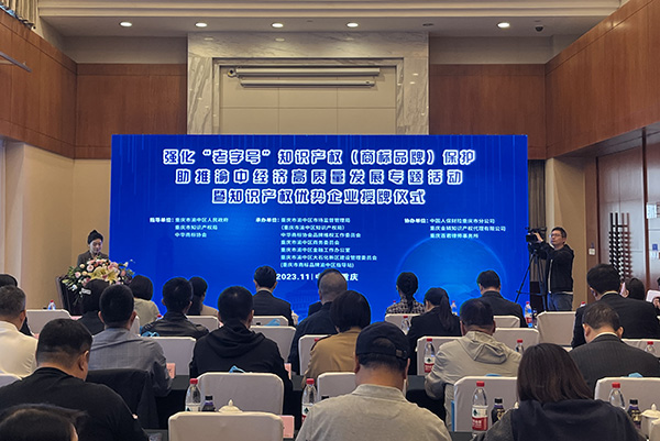 活動現(xiàn)場。夏金梅攝