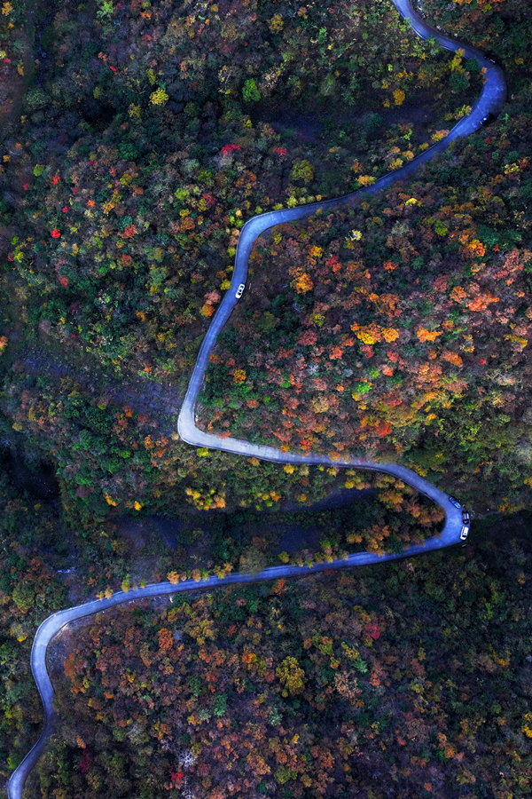 重慶城口彩葉進(jìn)入最佳觀賞期。李野攝