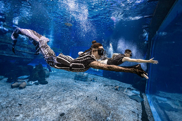 中國(guó)美人魚大賽無錫站比賽現(xiàn)場(chǎng)圖。主辦方供圖