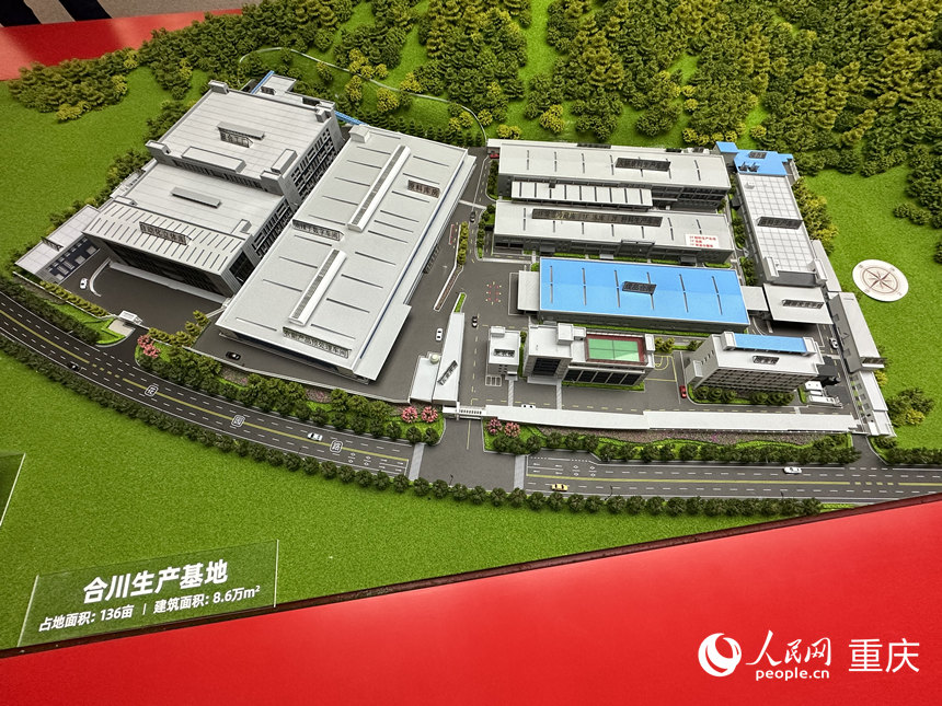 梅香園合川生產(chǎn)基地沙盤。人民網(wǎng)記者 劉政寧攝