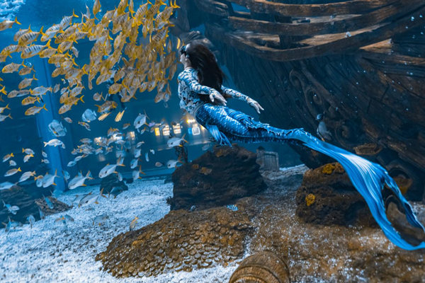 比賽現(xiàn)場圖。主辦方供圖