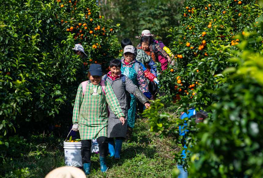 果林飄香，村民笑容燦爛。冉孟軍攝