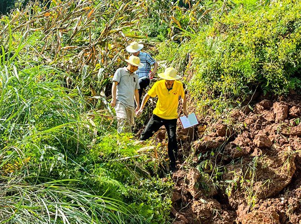 《山林間走出“安全”》。8月22日，市級(jí)專家余波、張志偉和重慶地質(zhì)礦產(chǎn)研究院駐守工程師王剛一起跋涉在山間，對(duì)南川區(qū)大觀鎮(zhèn)鐵橋村五顯廟滑坡現(xiàn)場(chǎng)踏勘。張旭攝