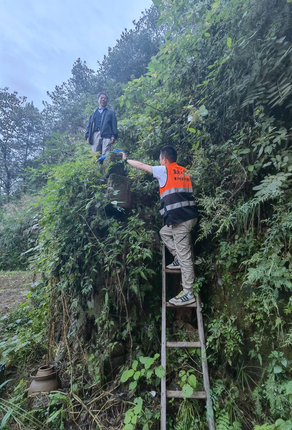 《登爬云梯排隱患，百姓安全重千鈞》10月5日，受連續(xù)降雨影響，云陽(yáng)縣高陽(yáng)鎮(zhèn)白元村村民屋后發(fā)生險(xiǎn)情，重慶地質(zhì)礦產(chǎn)研究院駐守地質(zhì)工程師王松腳踩懸梯到村民屋后開(kāi)展隱患調(diào)查，確定變形范圍，劃定危險(xiǎn)區(qū)域，切實(shí)保障群眾生命財(cái)產(chǎn)安全。彭巍攝.