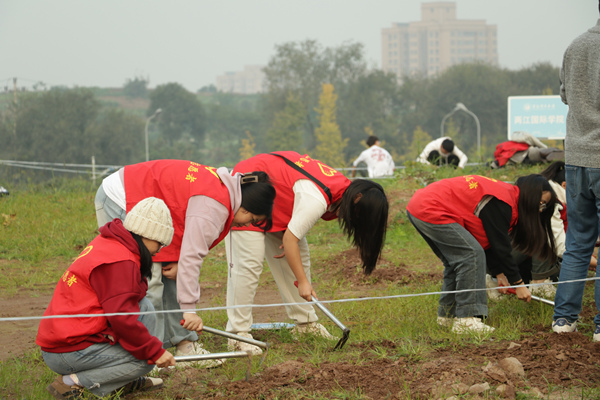 開墾現(xiàn)場。重慶理工大學(xué)供圖