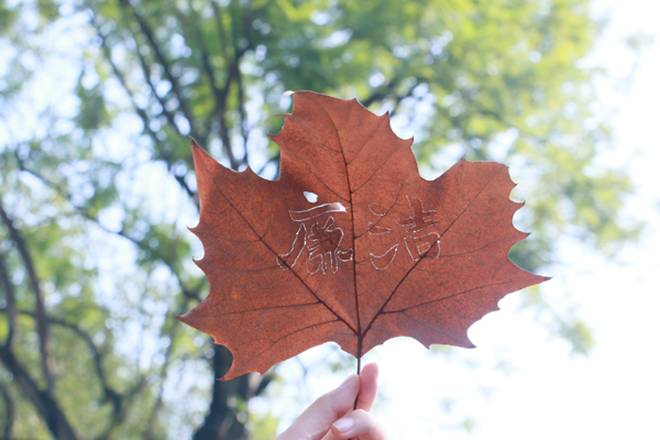 作品展示。重慶理工大學供圖
