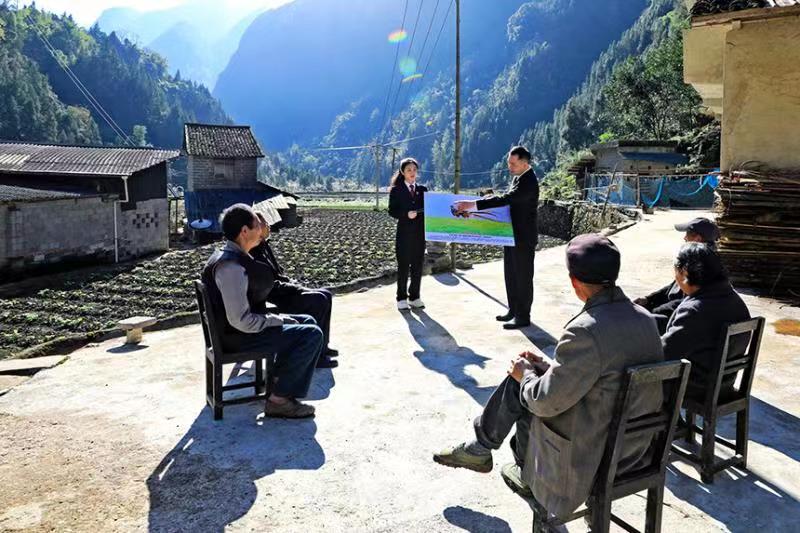 法官向村民展示白冠長(zhǎng)尾雉圖片。邊俊銘攝